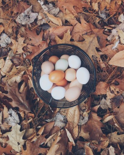 Eggs in one basket, not a great symbol of diversification in investing.